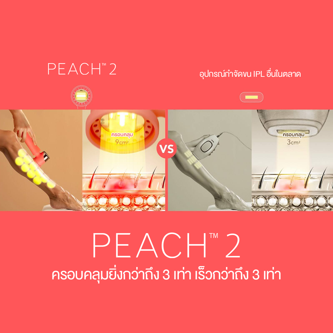 PEACH2-3