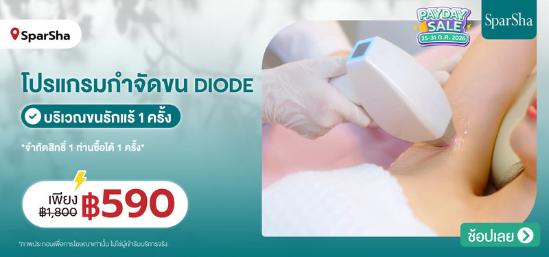 01-MB-SparSha-380753