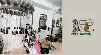 Cat Salon (Saphan Khwai)  1