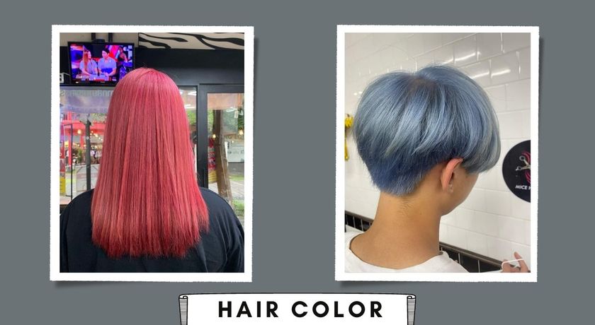 Mice Hair Color @swu  5