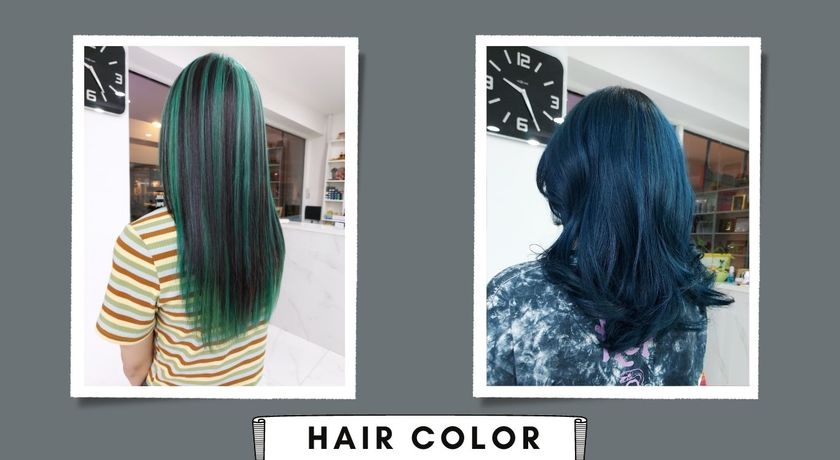 Mice Hair Color @swu  6
