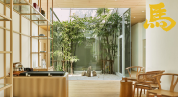 Majia Clinic (Ramintra) มาเจียคลินิก รามอินทรา (ฝังเข็ม/ครอบแก้ว/ยาจีน) Majia Clinic (Ramintra) มาเจียคลินิก รามอินทรา (ฝังเข็ม/ยาจีน) - บริการแพทย์แผนจีนครบวงจร ย่านรามอินทรา Untitled_design_%2828%29