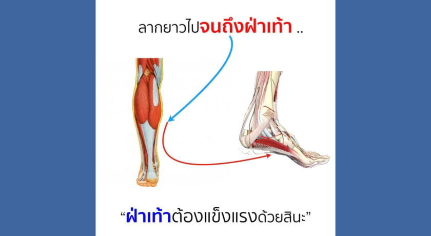 L&L Physiotherapy Clinic 1  4