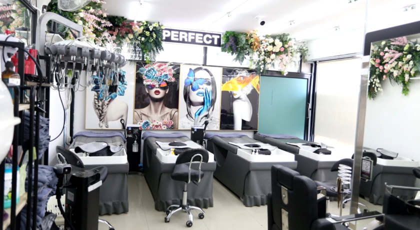 Perfect Professional  2