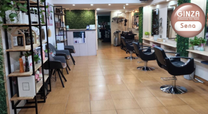 Ginza Sena  1