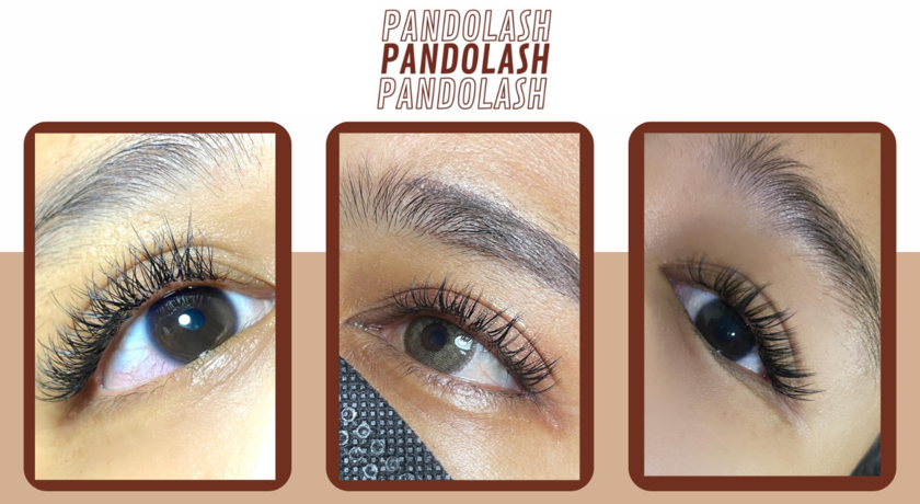 Pandolash  1