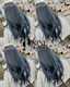 scaled_1000004354
