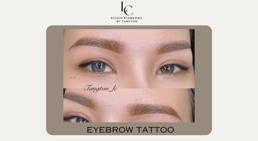 LC.Studio Eyebrows By Tangton  5