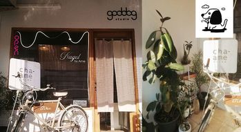 Goddog studio x tattoo & nails  2