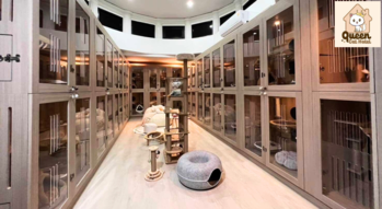 Queen Cat Hotel  1