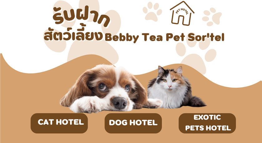 Bebby Tea Pet Sor'tel  Bebby_Tea_Pet_Sor'tel