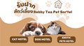Bebby_Tea_Pet_Sor'tel