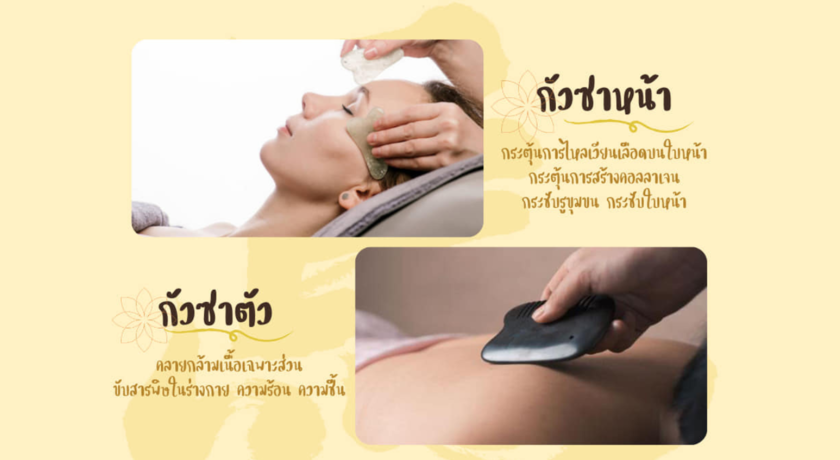 Majia Clinic (Chaengwattana) มาเจียคลินิก แจ้งวัฒนะ (ฝังเข็ม/ครอบแก้ว/ยาจีน)  7