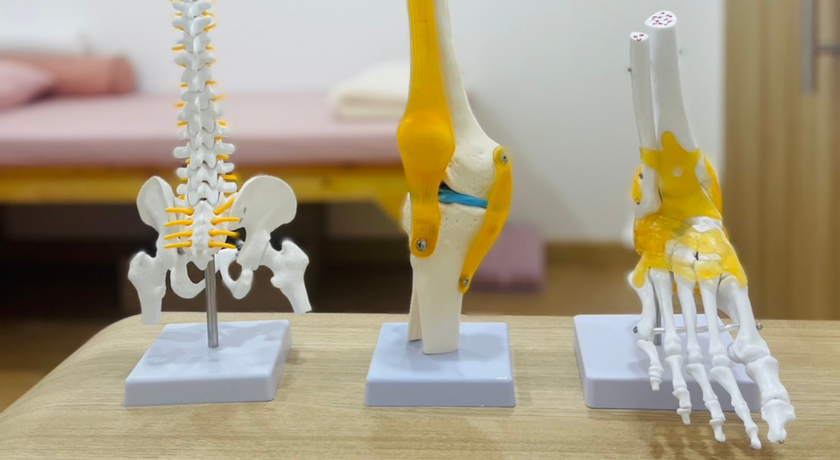 Mister K Physical Therapy Clinic  6