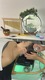 image_picker_226A00A1-CBBA-406F-80DD-A57438AB89FF-32372-000003CB8984C638