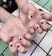 scaled_1000092704