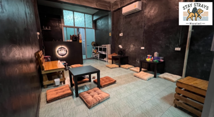 Stay Strays Hostel  1