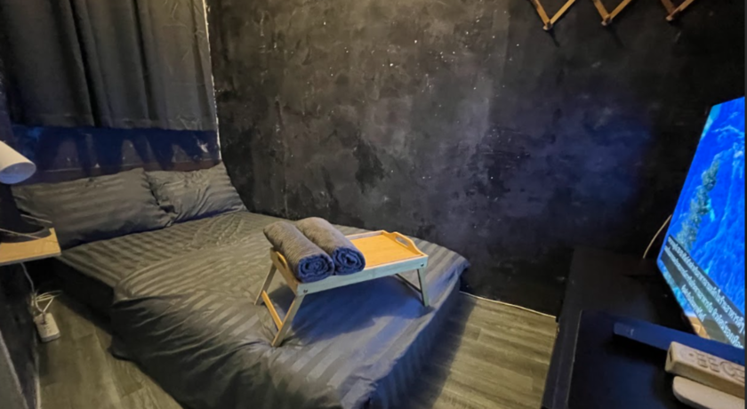 Stay Strays Hostel  5