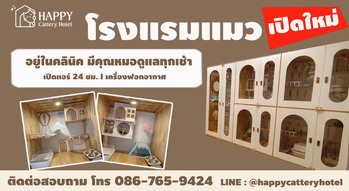 HAPPY Cattery Hotel HAPPY Cattery Hotel - โรงแรมแมวแฮปปี แค็ตเตอรี่ บางใหญ่ นนทบุรี gowabi