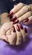 line_oa_chat_250825_110203