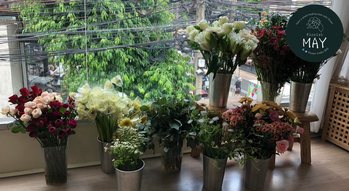 Flower Studio May Flower Studio May - เวิร์กช็อปจัดดอกไม้ สุขุมวิท 49/1 1