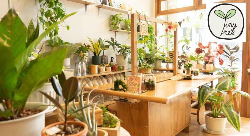 TINY TREE GARDEN Tiny Tree Garden - โลกจิ๋วสวนขวด ย่านสุขุมวิท 54 1