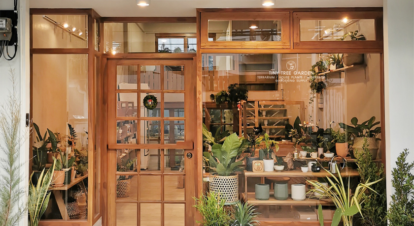 TINY TREE GARDEN Tiny Tree Garden - โลกจิ๋วสวนขวด ย่านสุขุมวิท 54 2