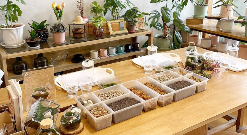 TINY TREE GARDEN Tiny Tree Garden - โลกจิ๋วสวนขวด ย่านสุขุมวิท 54 4