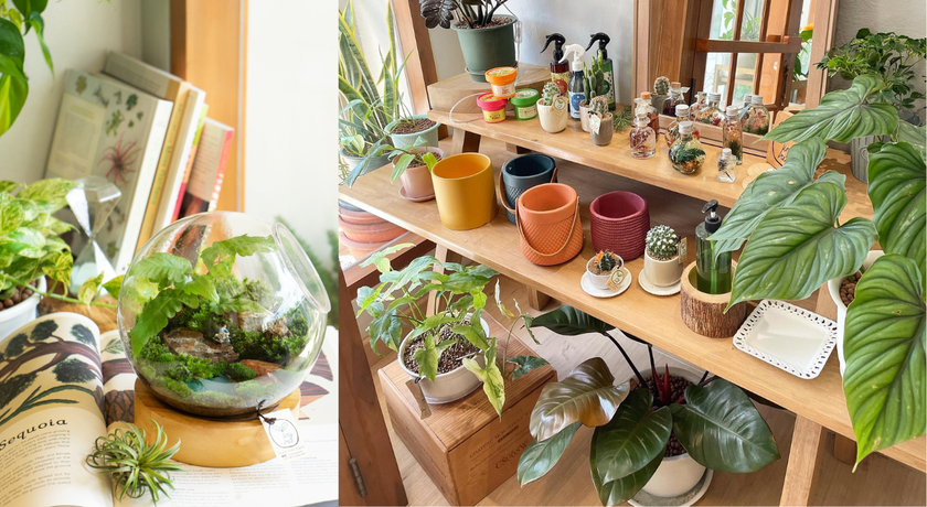 TINY TREE GARDEN Tiny Tree Garden - โลกจิ๋วสวนขวด ย่านสุขุมวิท 54 7