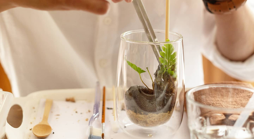 TINY TREE GARDEN Tiny Tree Garden - โลกจิ๋วสวนขวด ย่านสุขุมวิท 54 13