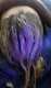 scaled_1000013263