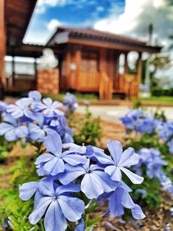 Anya Spa Phitsanulok อัญญา นวดเพื่อสุขภาพ scaled_1000008121