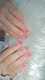 scaled_1000027062