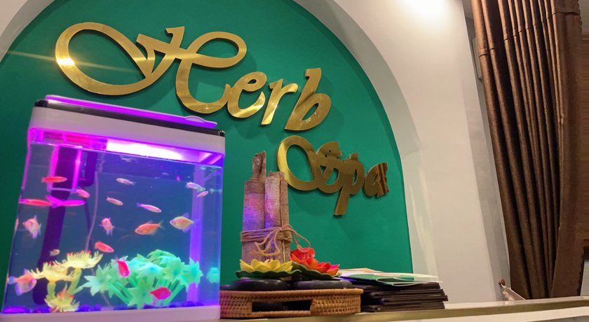 HERB SPA เฮิร์บ สปา 10