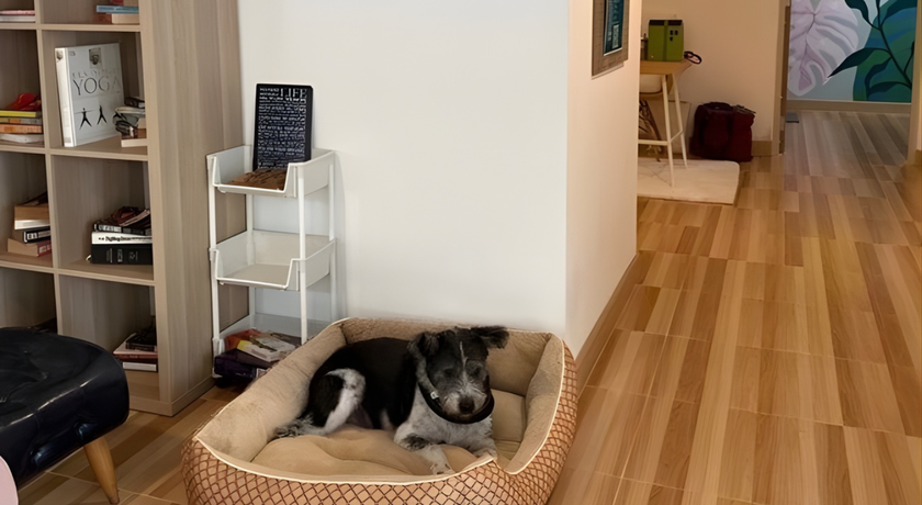 Tri Recovery Tri Recovery - ทรี รีคัฟเวอรี ฟื้นฟูร่างกายครบวงจร ย่านอารีย์ 9