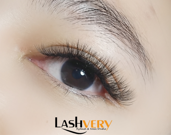 Lashvery  scaled_Picsart_25-11-11_10-08-32-602