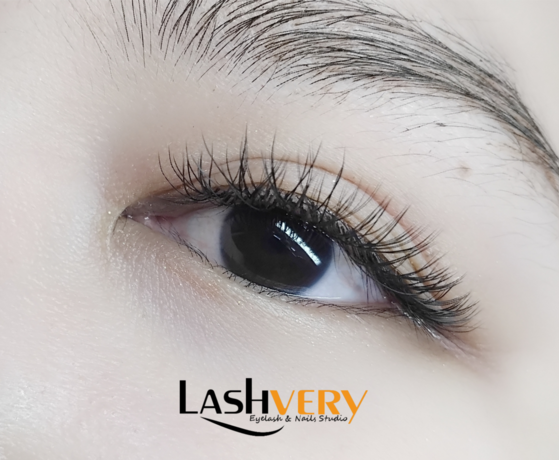 Lashvery  scaled_Picsart_25-11-18_22-20-23-228