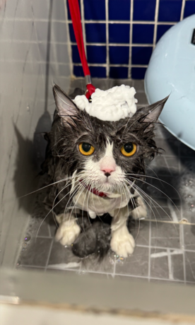 HAPPY PET HOSPITAL  null?1765894243