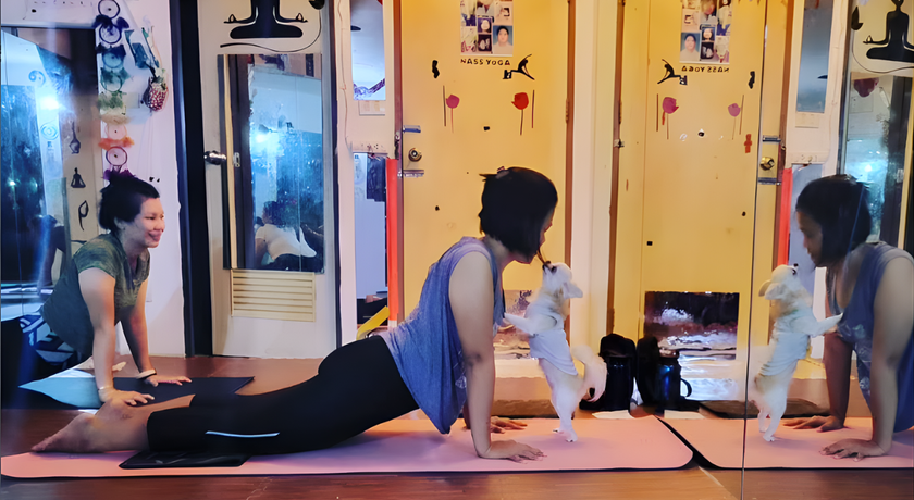Nass Yoga (Lat Phrao) Nass Yoga (Lat Phrao) – แนส โยคะ ลาดพร้าว โยคะบำบัด ย่านพหลโยธิน 8