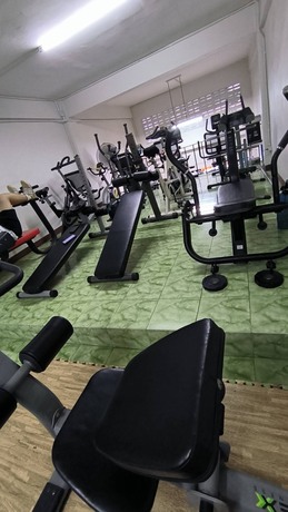 PP Fitting Gym Gold PP Fitting Gym Gold - พีพี ฟิตติ้ง ยิม โกลด์ เทรนส่วนตัวย่านบางขุนนนท์ S__10379292_0