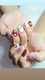scaled_1000063131