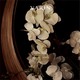 line_oa_chat_260225_133838