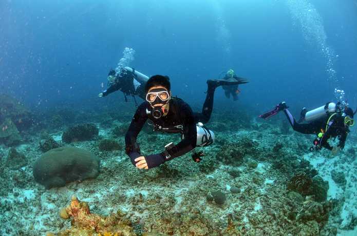 Thai Ocean Academy  null?1772169076