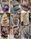 image_picker_06186C44-3012-4AFB-AD98-8836EDF2726D-64000-00000ED8A3F2F3A4