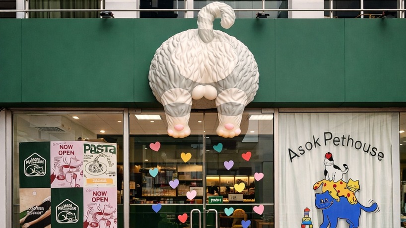 Asok Pethouse, Cat Cafe  image_picker_AEACB8FD-E790-4F25-B04E-A821E87A72F2-1111-00000033A4DBE6B5