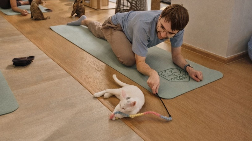 Asok Pethouse, Cat Cafe  image_picker_8CDC68C8-00E7-488C-9F6A-E29CDFC8878D-1111-00000033A4BE47A2