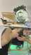 scaled_1000004126