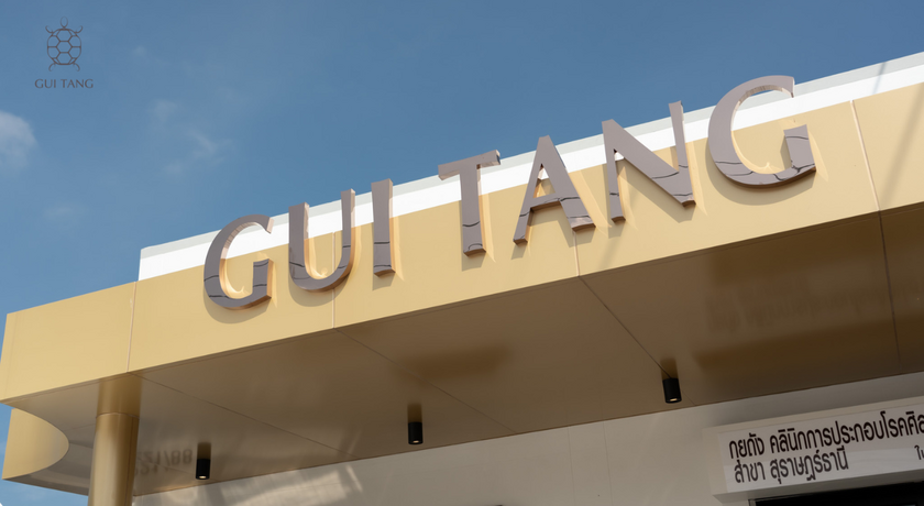 Guitang Chinese Medicine Wellness Clinic Suratthani Guitang Chinese Medicine Wellness Clinic - กุยถังคลินิกการแพทย์แผนจีน สุราษฎร์ธานี 13