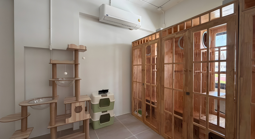 Cozy Tails Pet Hotel Cozy Tails Pet Hotel - โคซี่ เทล เพ็ท โฮเทล รัชดา ดินแดง 4