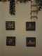 scaled_1000048409